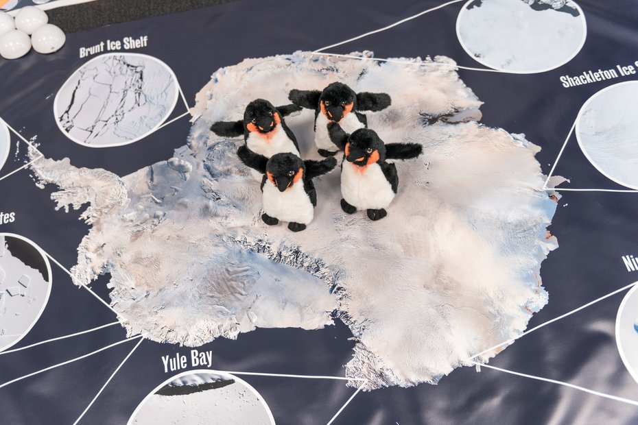penguin toys on map