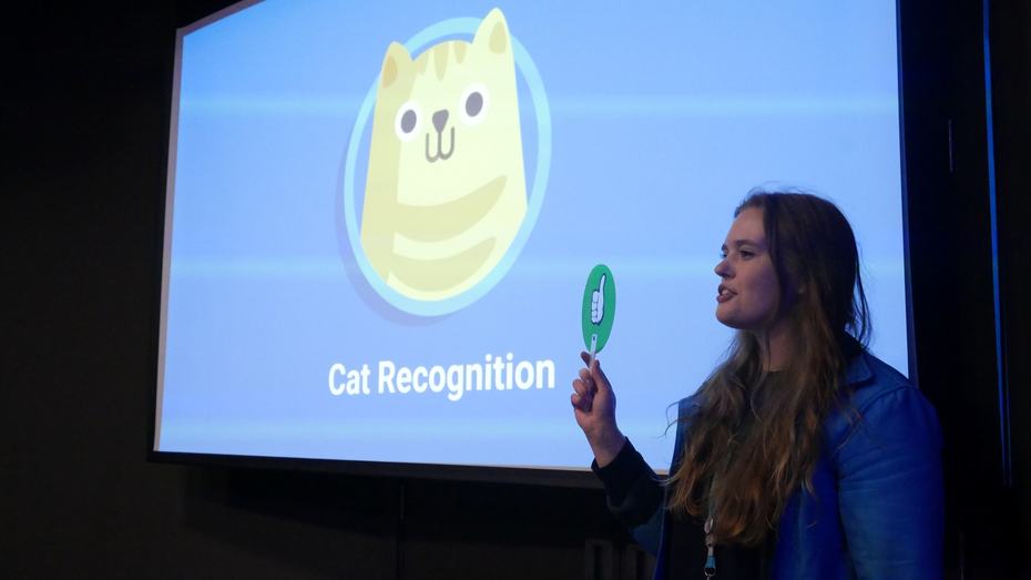 Dundee Science Centre Demystifying AI cat identification activity