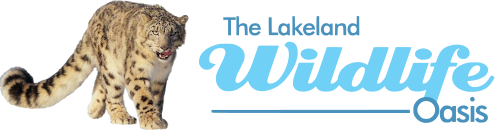 Lakeland Wildlife Oasis.png