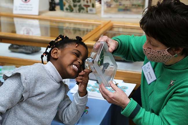 Oxford University Museum of Natural History woman and girl examining butterfly