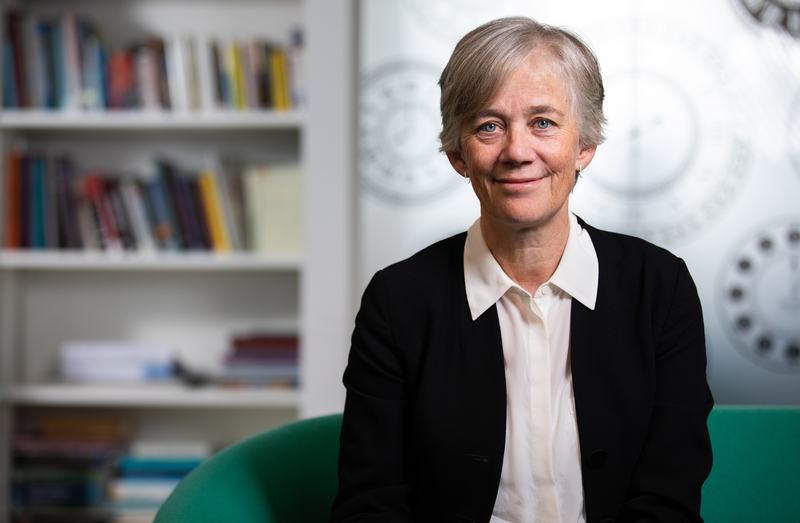 Professor Dame Angela McLean, GCSA