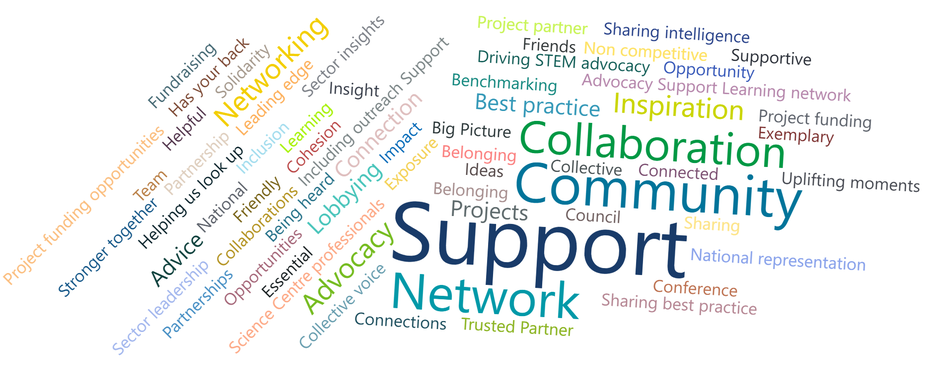 Sector survey 2026 word cloud