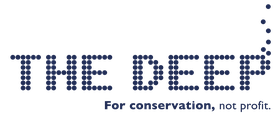 The Deep VA Logo_Blue