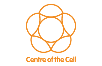 centre-of-the-cell.png