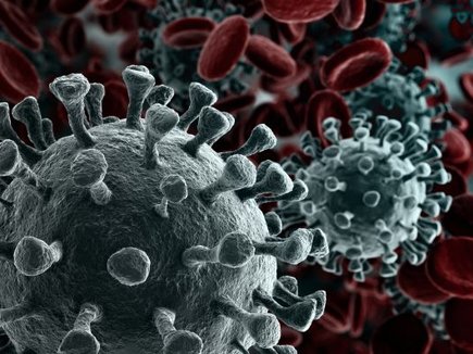 coronavirus image 3.jpg