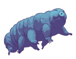 tardigrade.PNG
